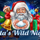 Santa’s Wild Night